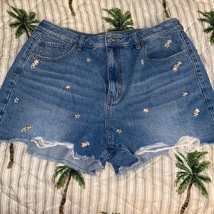 American Eagle Embroidered Floral Shorts